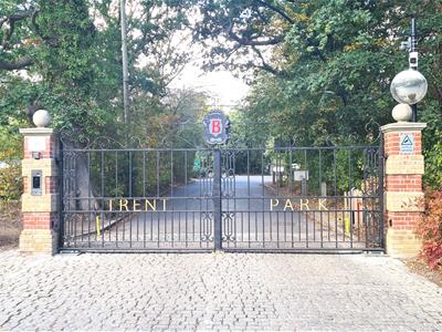 Picture 19